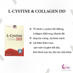 Lcystine DD 