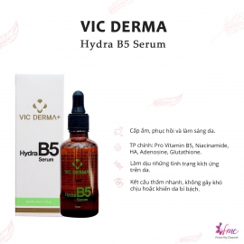 SERUM “Cấp Ẩm - Phục Hồi" HYDRA B5 VIC DERMA+  50ml SERUM “Cấp Ẩm - Phục Hồi" HYDRA B5 VIC DERMA+  50ml