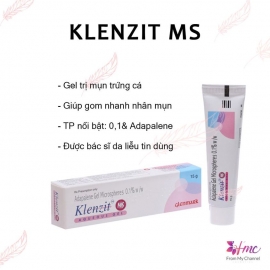 Klenzit MS Klenzit MS
